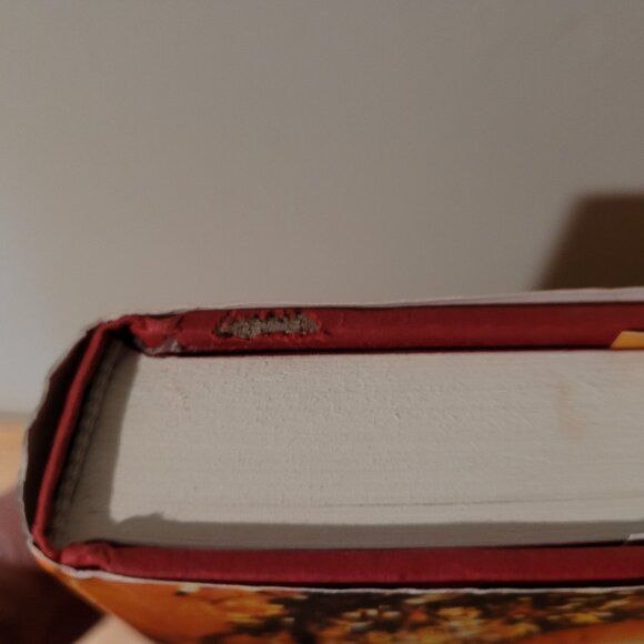 BOGO ~ Christmas Gods Way Book - Picture 4 of 4